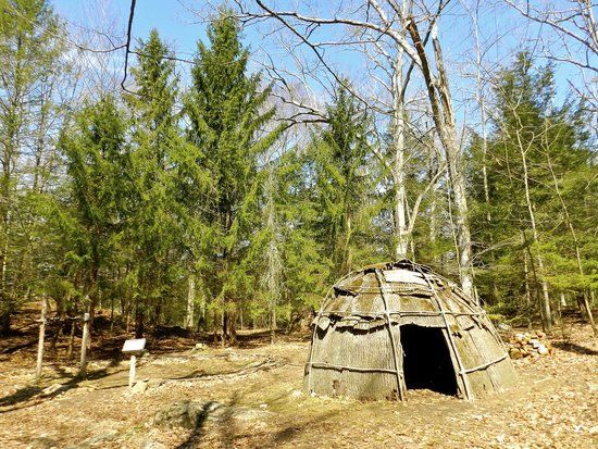 Institute for American Indian Studies